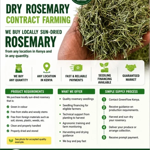 Rosemary Contract Farming